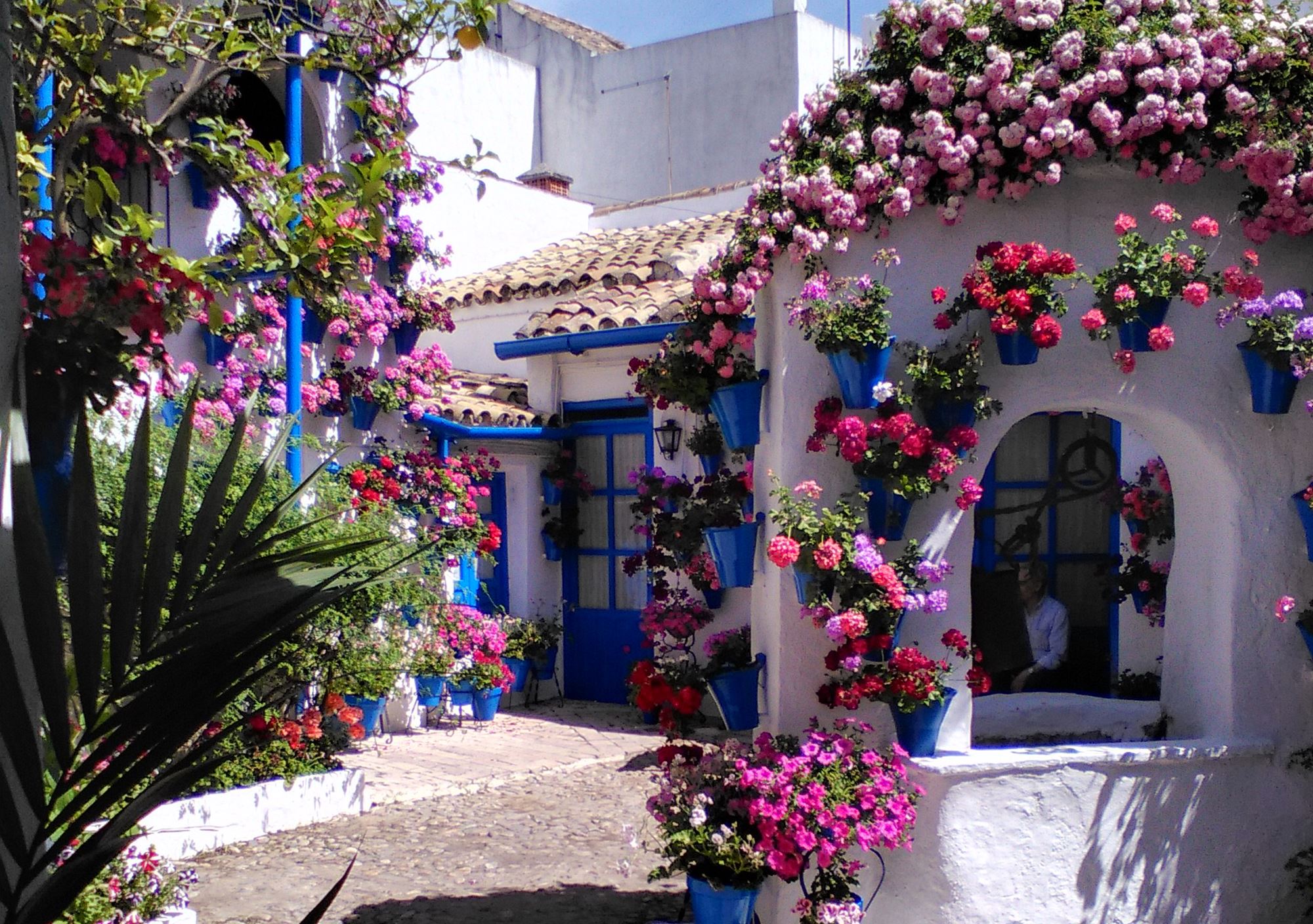 tours guiados Ruta accesible a los Patios del Alcázar Viejo en Córdoba